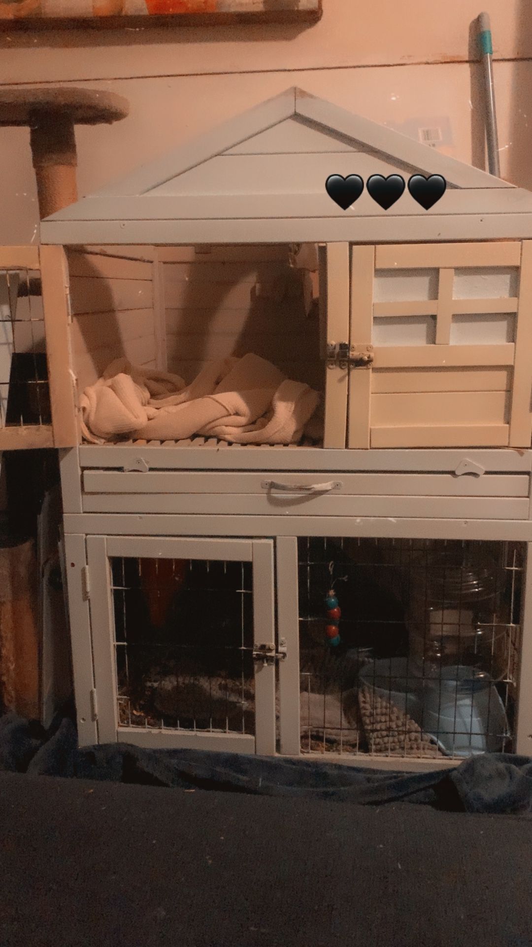 Bunny Or Other Animal Hutch