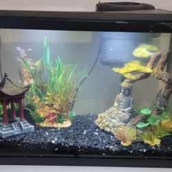 Aquarium with Decorations 