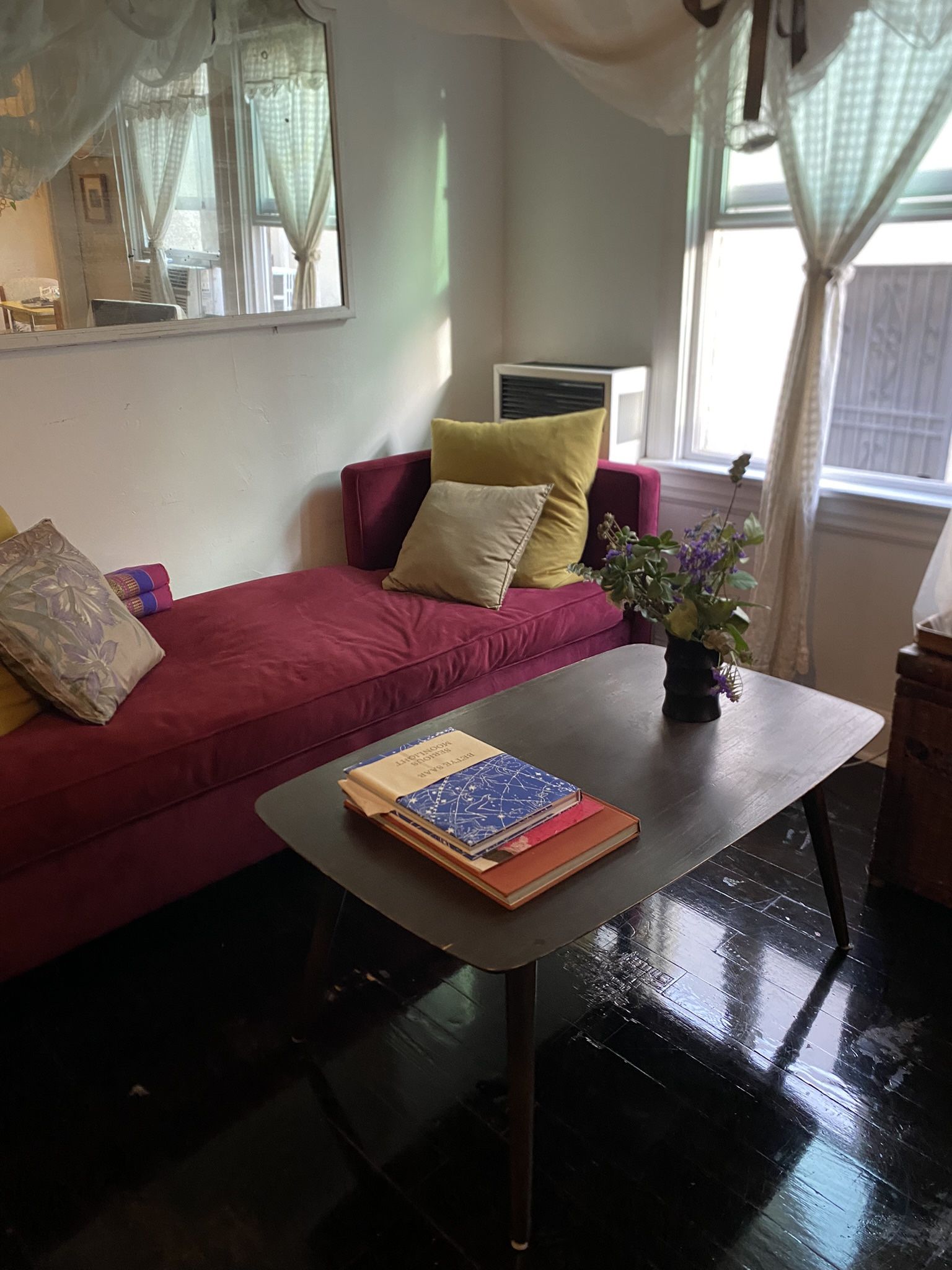 Gorgeous Velvet Chaise/Sofa ౨ৎ˚₊✩‧₊