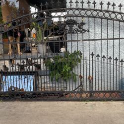 Metal Gate