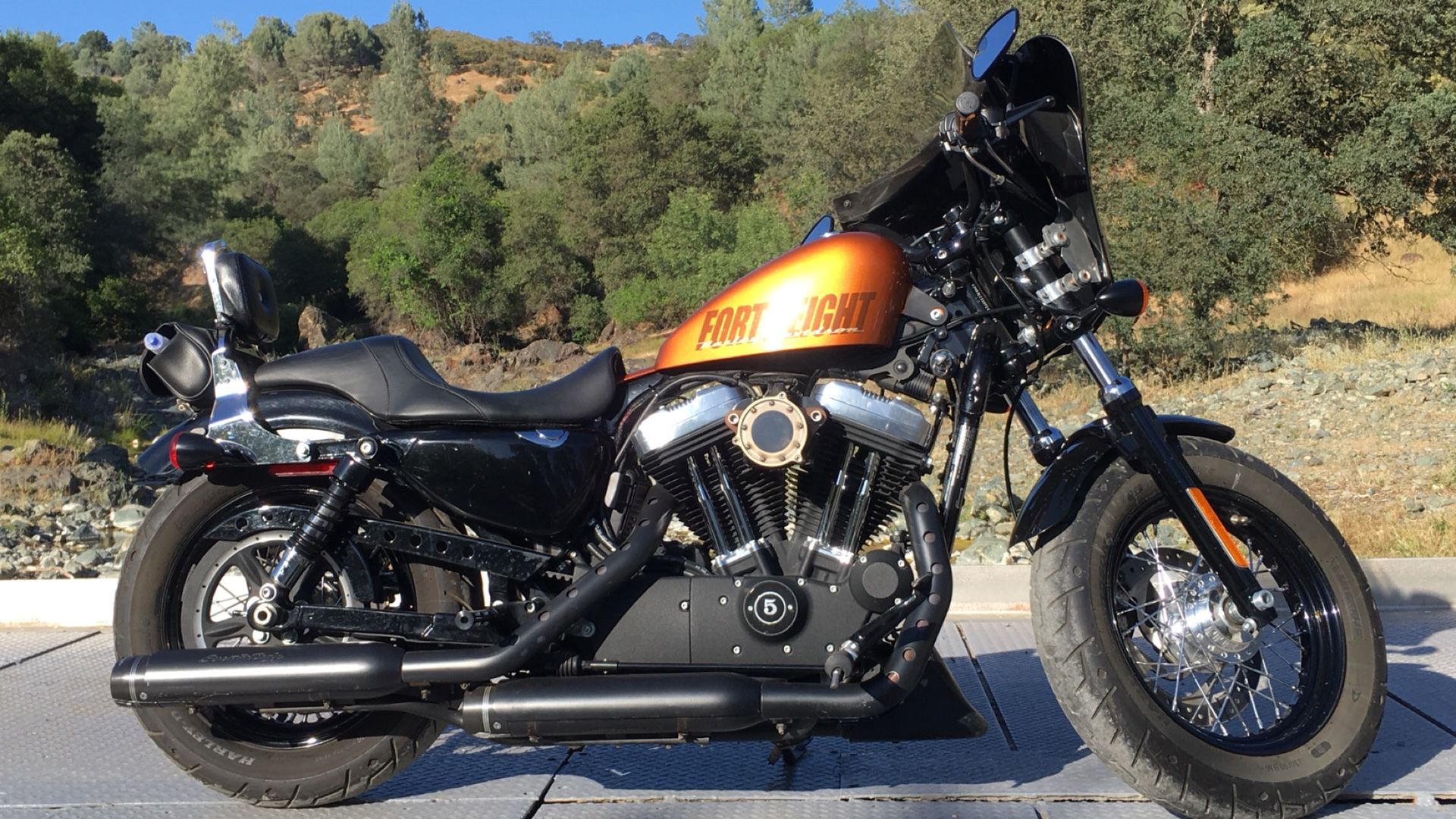 2015 Harley Davidson 48 sportster 1200