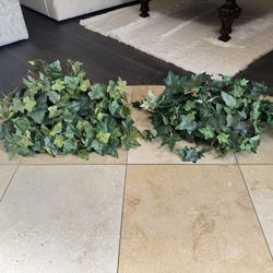 Decorative Greenery (2) $10 For Both 