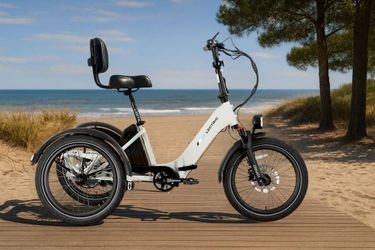 Lectric  Trike2 ebike