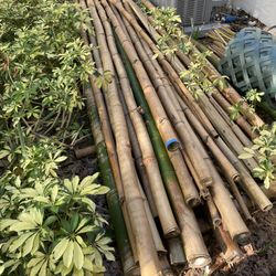 Bamboo Lumber  - By The Pack Or Pole