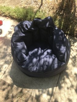 Bean Bag Cushion