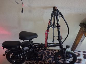 Electric bike