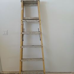 6ft Ladder 