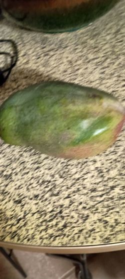 Fresh picked Valencia pride mangoes