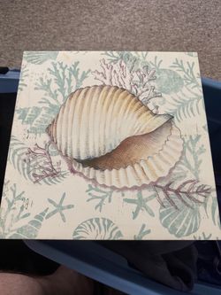 12x12 canvas shell wall decor