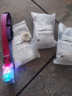LED dog Collar Ligtht Up 