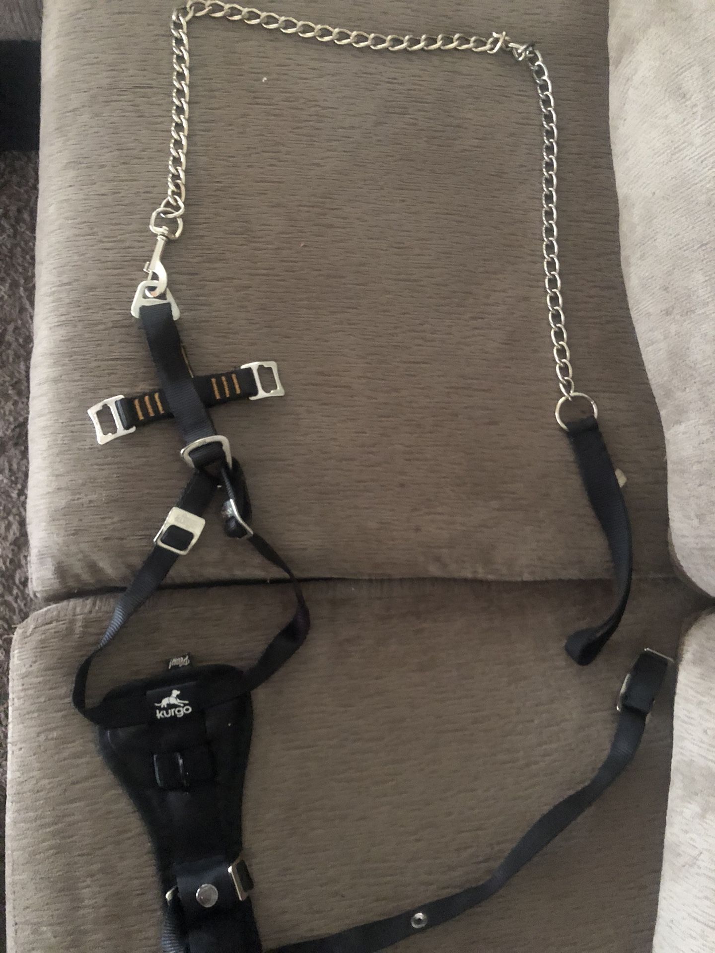 dog hatch(comes with gold chain)