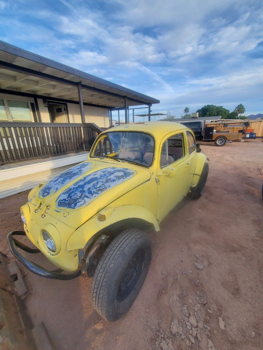 1965 VW baja bug