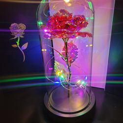 Galaxy Rose