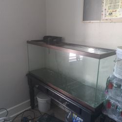 Fish Tank 50$