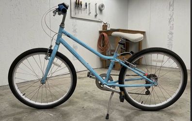 Guardian 24” Bike