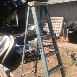 Werner 6ft  Ladder