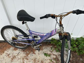 Purple Bike