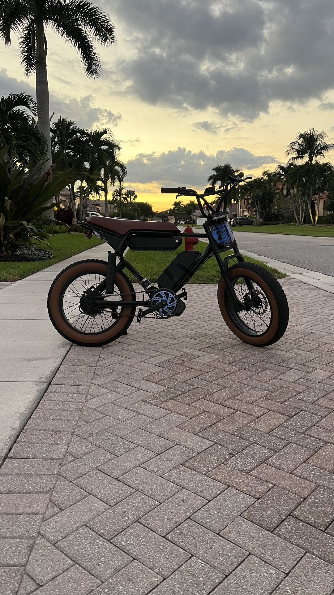 Modded Macfox Dual battery(Ebike)