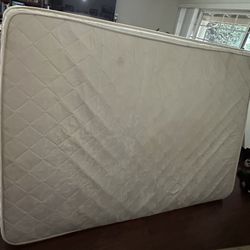 Free Bed 