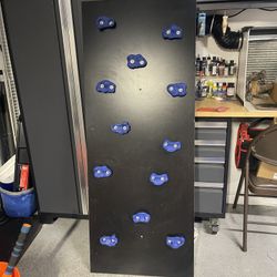 Kid Rock Climbing Play Wall