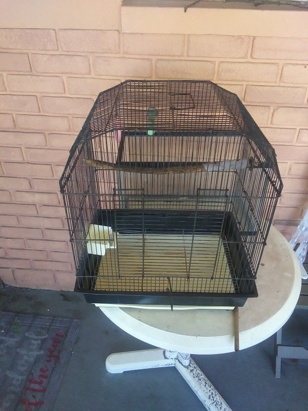 Bird Cage FREE
