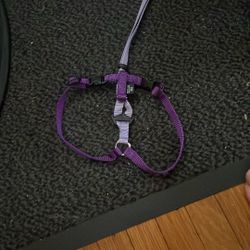 Cat Leash/Halter