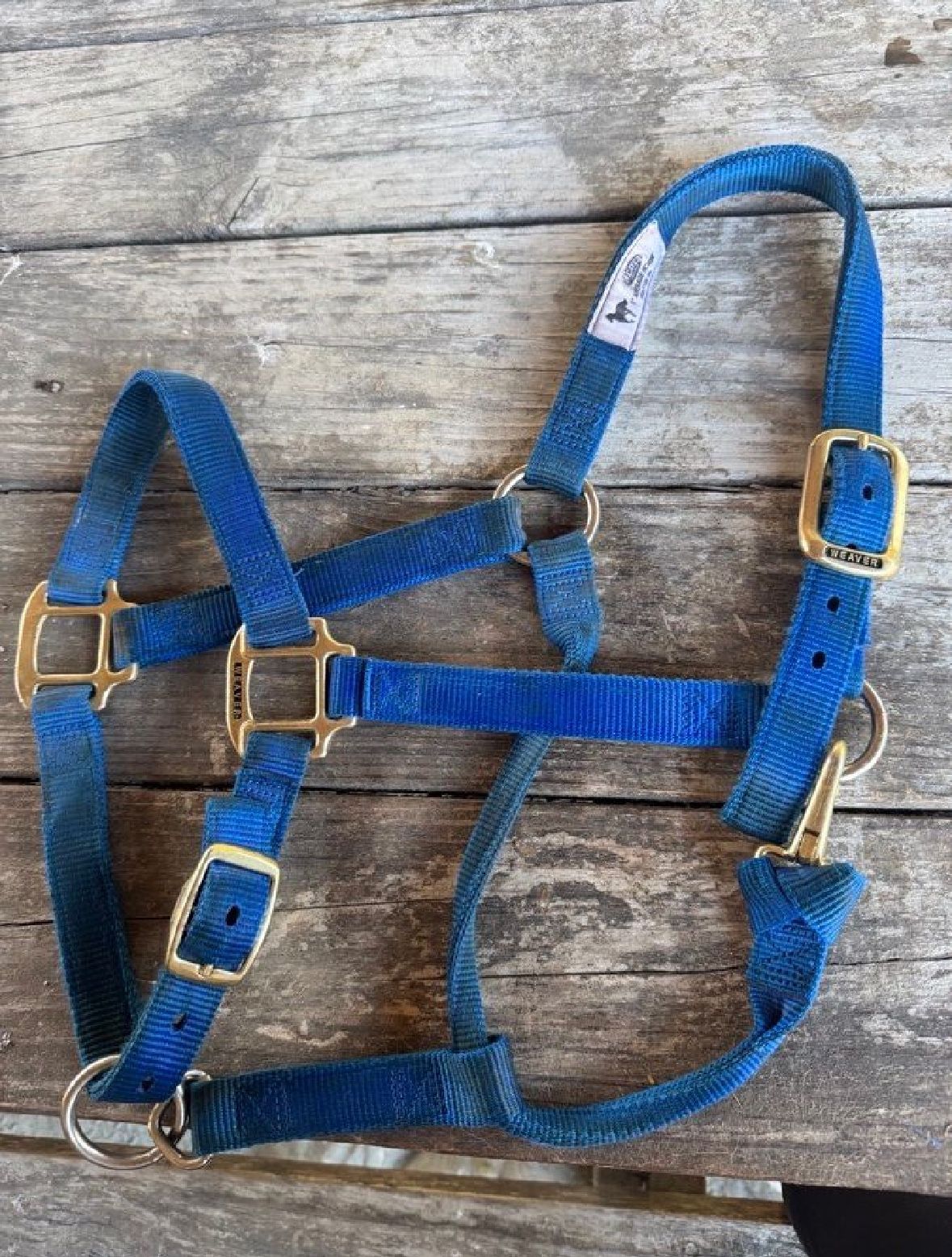 Royal Blue Weaver Halter AND Lead Line