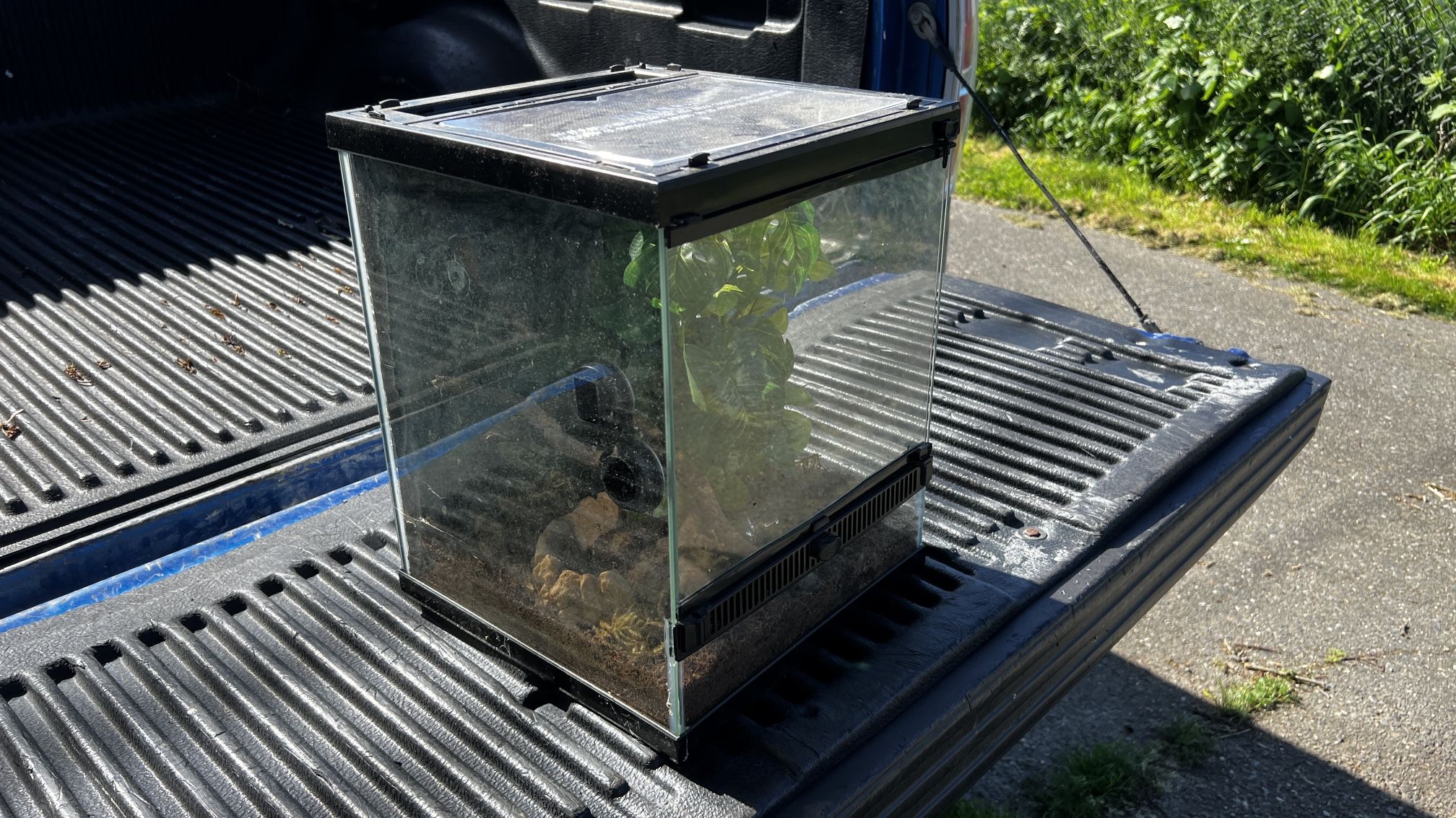 Zilla 12x12x15 Terrarium for Sale in Bonney Lake, WA OfferUp