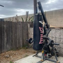 Punching Bag 