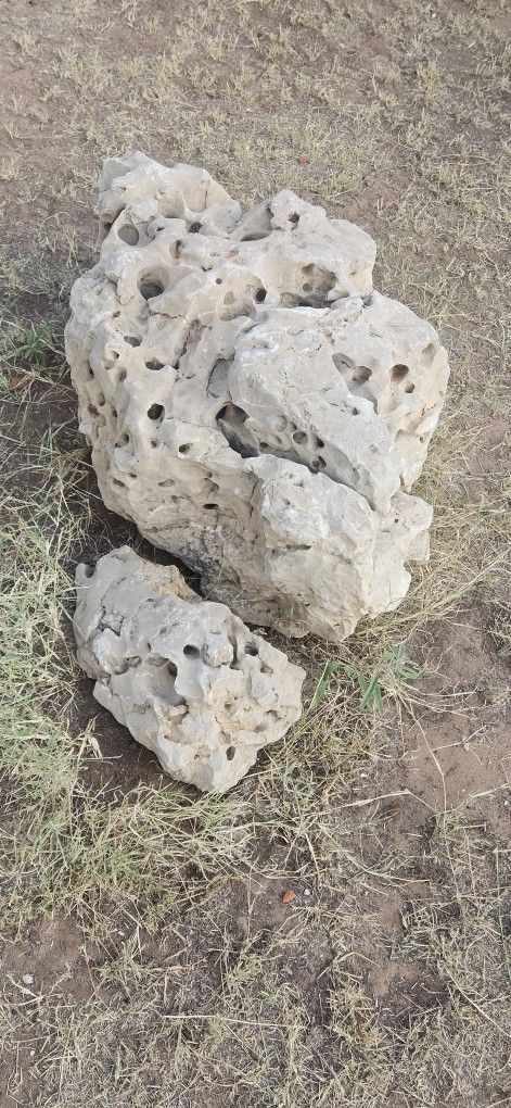 Texas HOLY LIMESTONE
