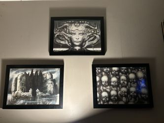 HR Giger Prints Framed