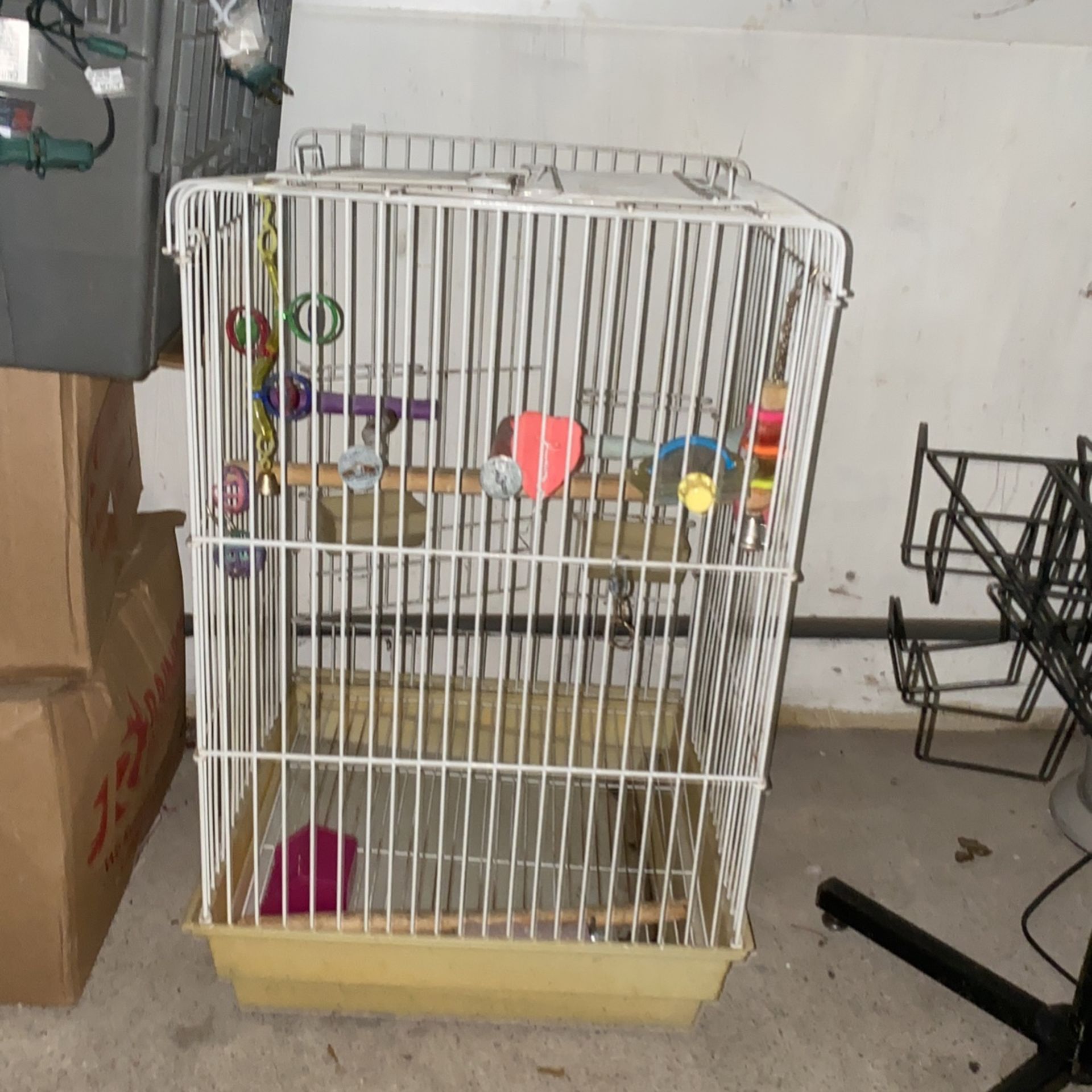 bird cage 
