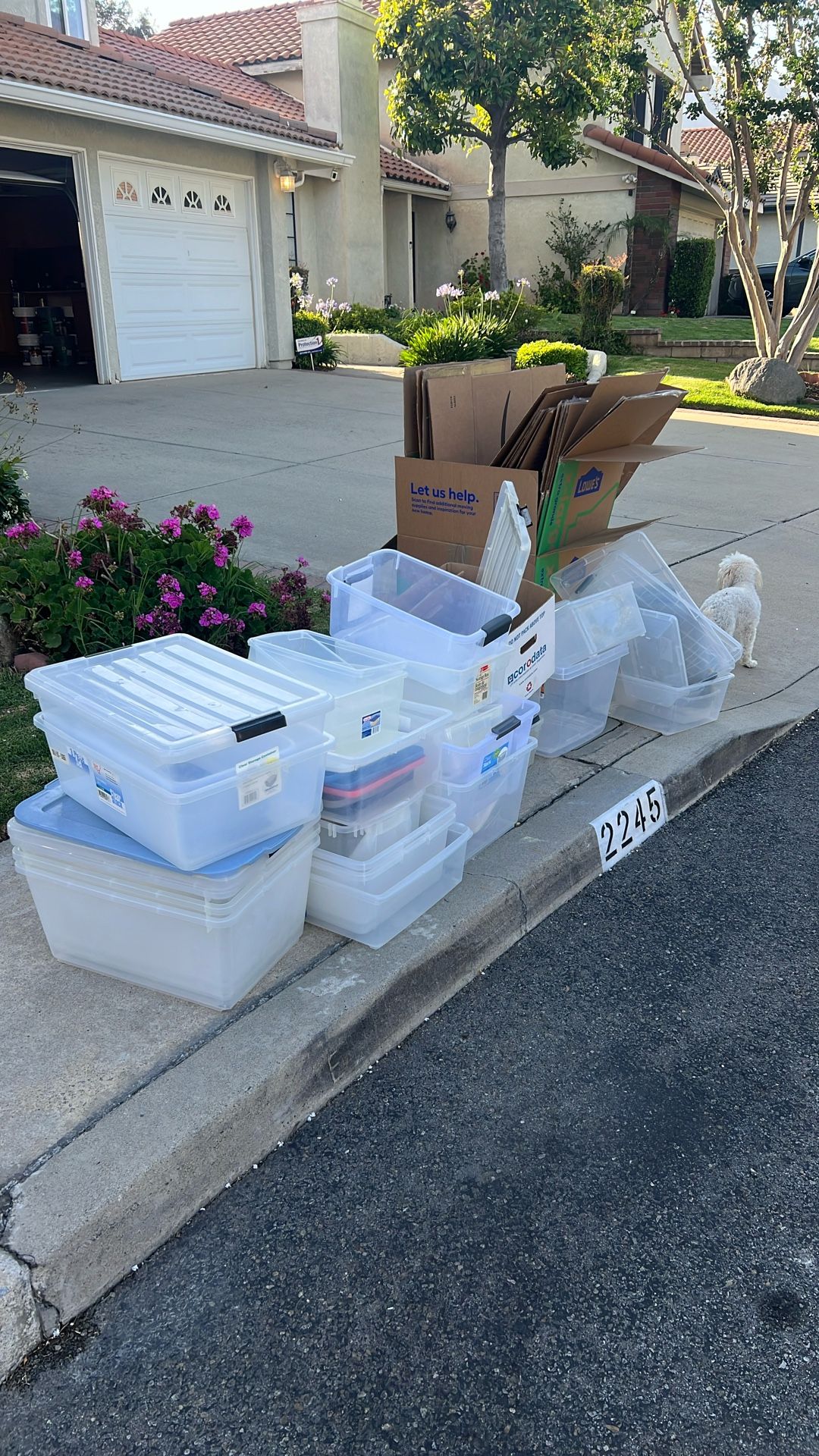 Free Plastic and Moving Boxes