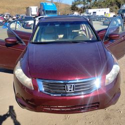 2010 Honda Accord 
