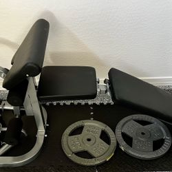 Various Dumbell sizes with bench calf exercise stand.