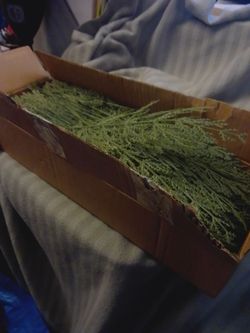 Artificial Cedar Branch-120- Material is New.