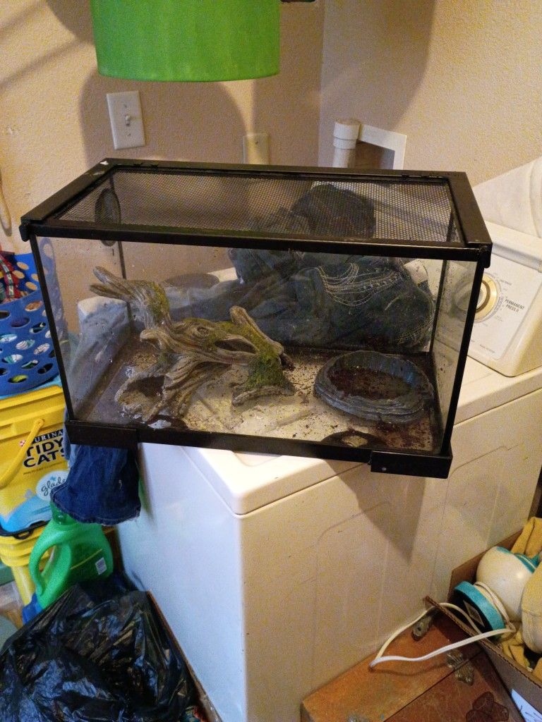 Reptile Tank
