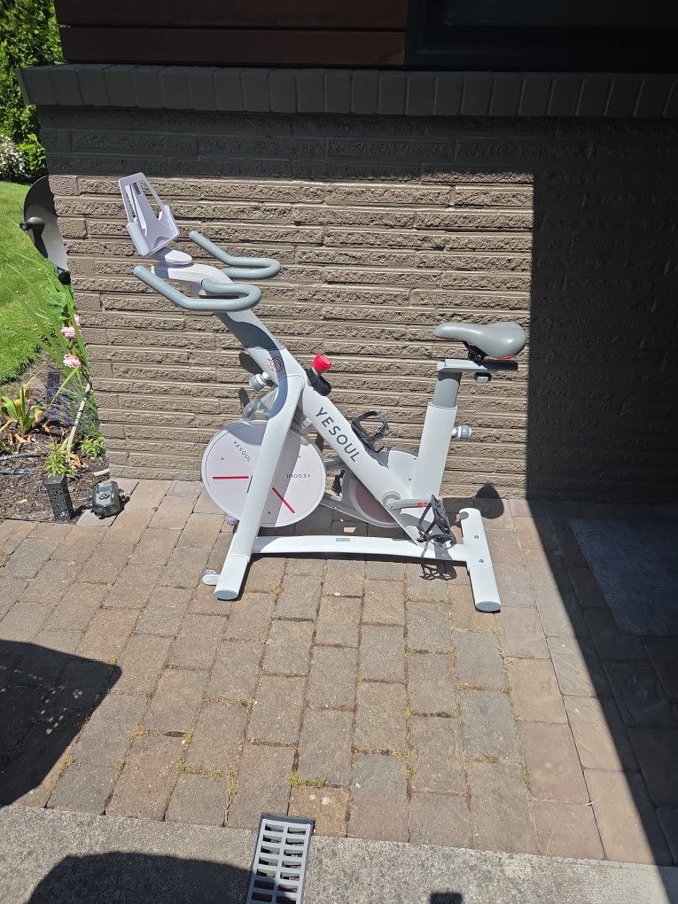 Yesoul S3 Exercise Bike