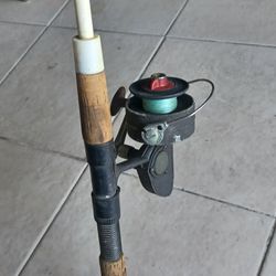 Fishing Rod With Reel....