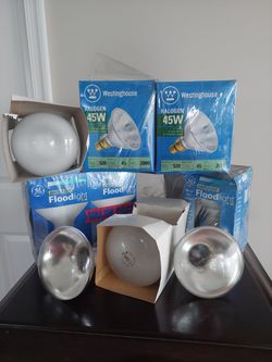 Flood Light Bulbs