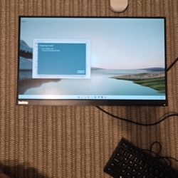 Lenovo ThinkVisiin 22" Monitor 1080p