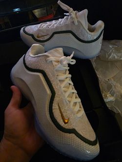 Nike Lebrons