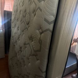 Bed For Sale King Size