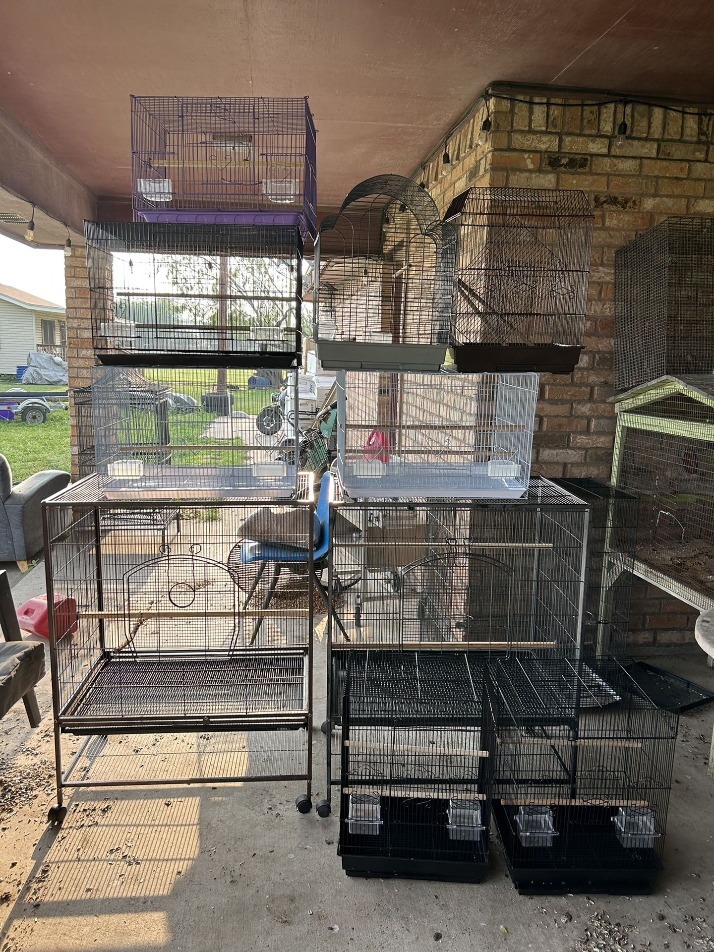 Bird Cages