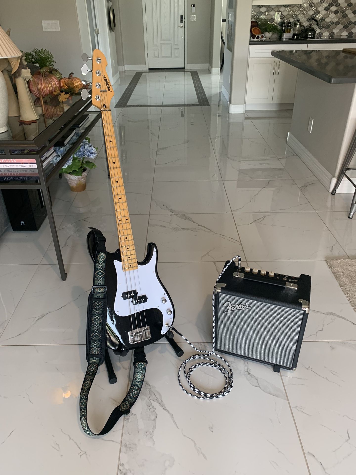 Amazing Bass Rig!  USA Made Peavey Fury