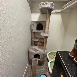 Big Cat Tree Clean Good Condition 