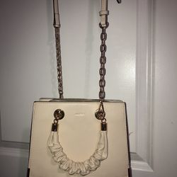 Aldo Purse