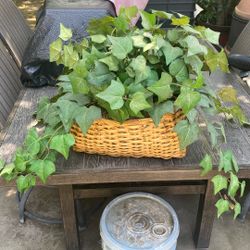 Home Decor Fake Plant In Basket