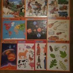 Set Of 10 Kid's Preschool Cardboard Frame Tray Picture Puzzles 