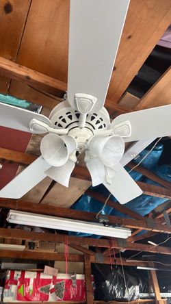Fan light